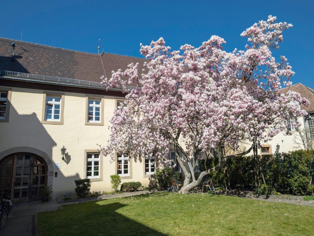 Hotel & Cafe Ritter Von Boehl Deidesheim Exteriör bild